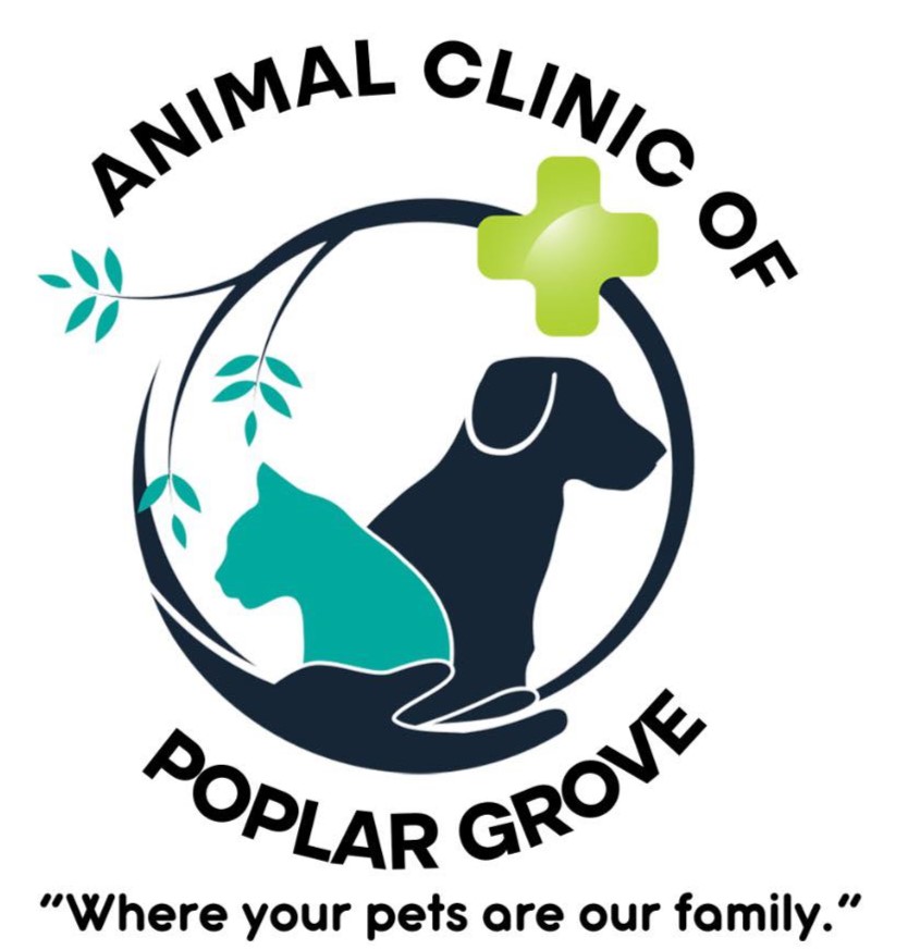 Animal Clinic of PG